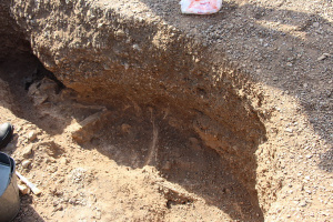گور چکمه ای و بقایایی از دوره برنز تا آهن در کاوش های باستان شناسی محوطه استرک -جوشقان کاشان کشف شد